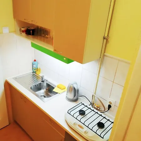 Appartement On Yaroslava Mudrogo 14 Lviv
